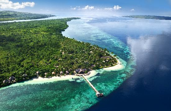 Menyelami Keelokan Dasar Laut Wakatobi, Surga Terumbu Karang Ciamik di Sulawesi Tenggara