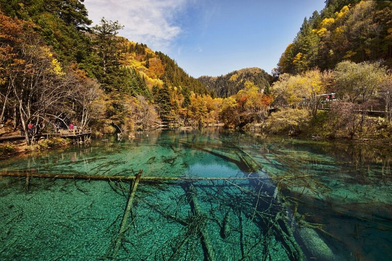 Menjelajahi Keelokan Alam Lembah 9 Desa di Jiuzhaigou China