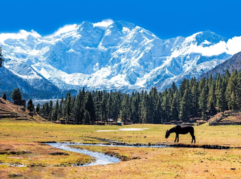 Gunung Nanga Parbat Eksplorasi Keelokan Puncak Maut