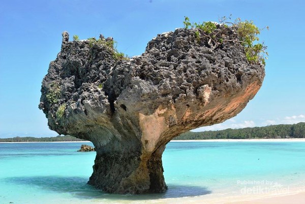 Keelokan Pantai Oesosole Miliki Karang Berupa Hati